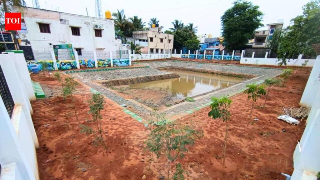Sholinganallur’s Sathyavani Muthu pond restored ahead of monsoon