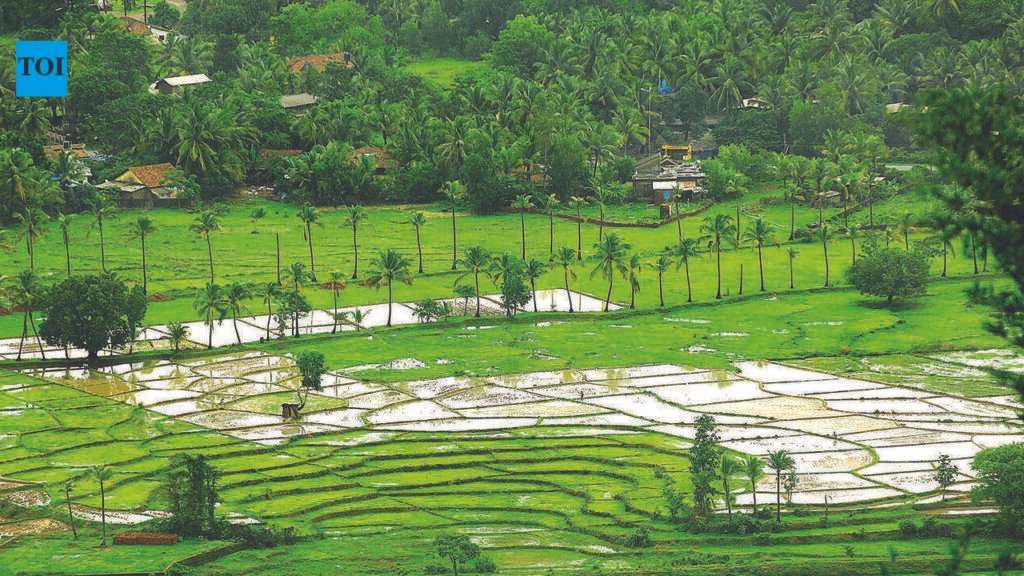 31,222 sqm cleared for zoning changes under Section 39A, 87% concentrated in Morjim