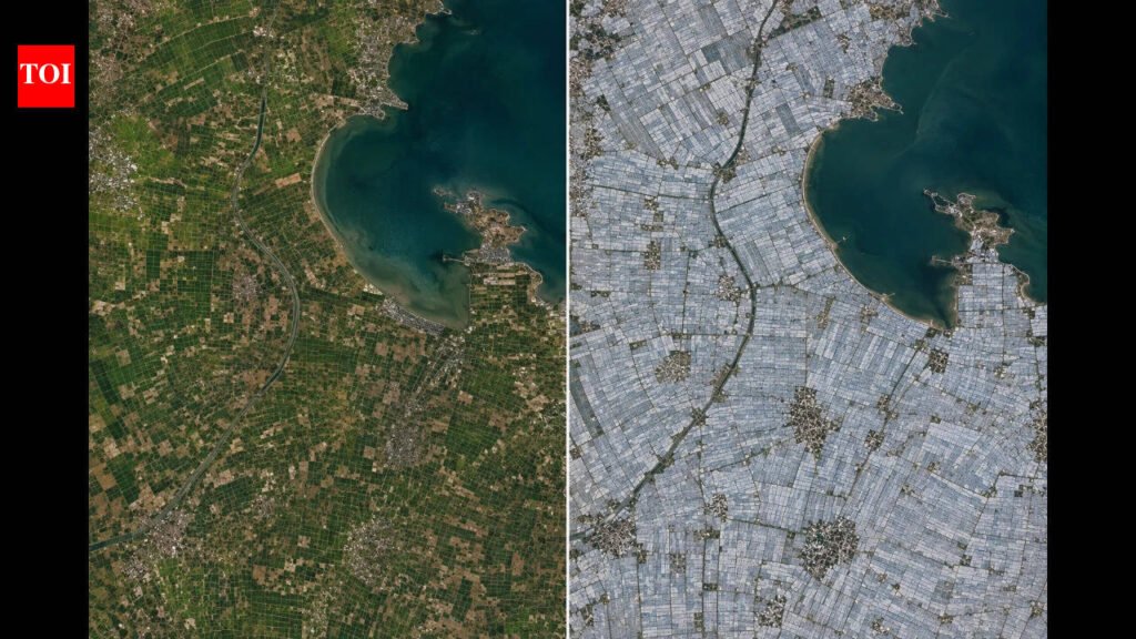 NASA images show more than 820 square kilometres of farmland transformed by the world’s largest cluster of plastic greenhouses