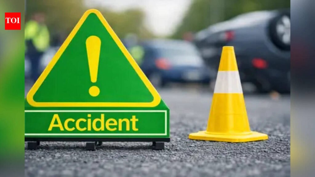 12 killed, 10 injured after Polish bus overturns on M3 motorway