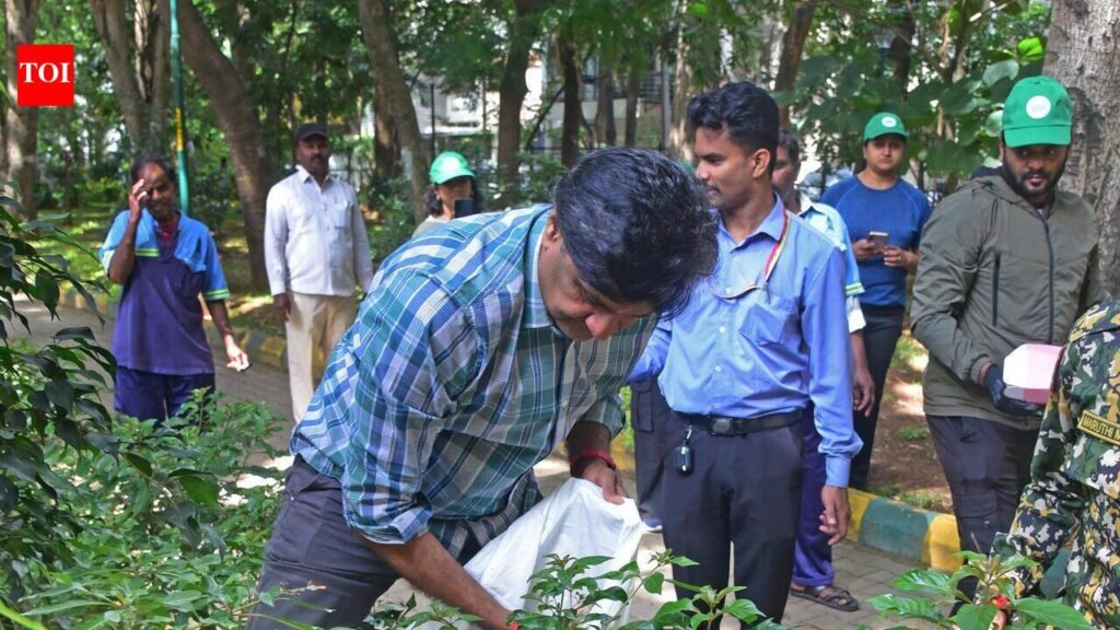 Stars, students & more join park clean-up, plantation drives