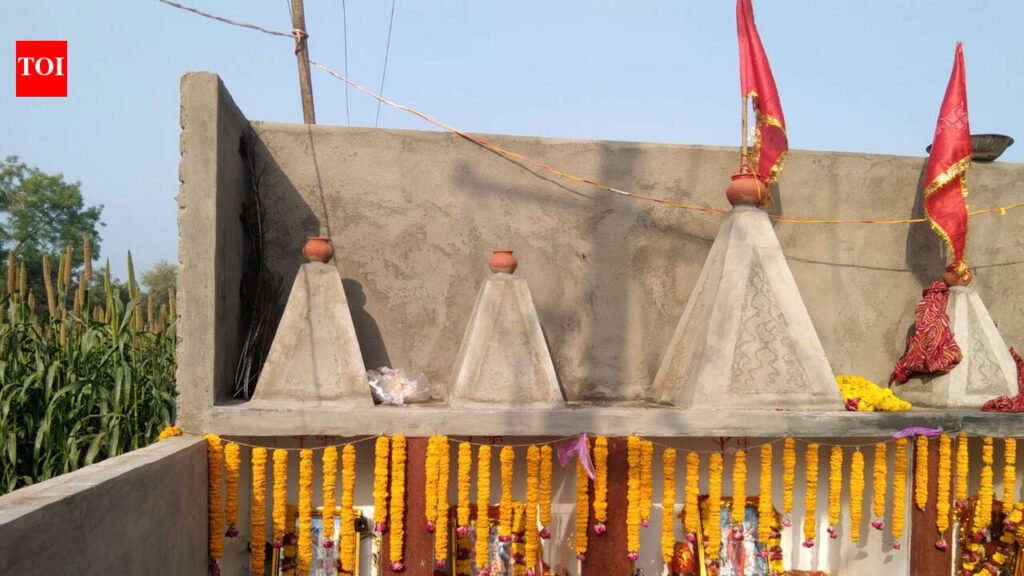 Two siblings die of electrocution