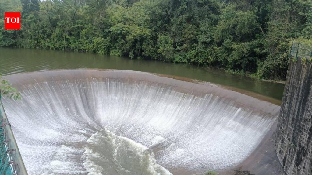 Poorly kept Chiklihole reservoir blocks water for paddy cultivation