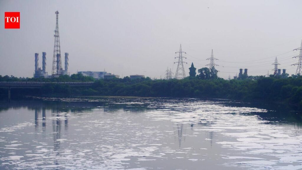 Safe at entry, Yamuna’s pollution level shoots up ninefold in Haryana