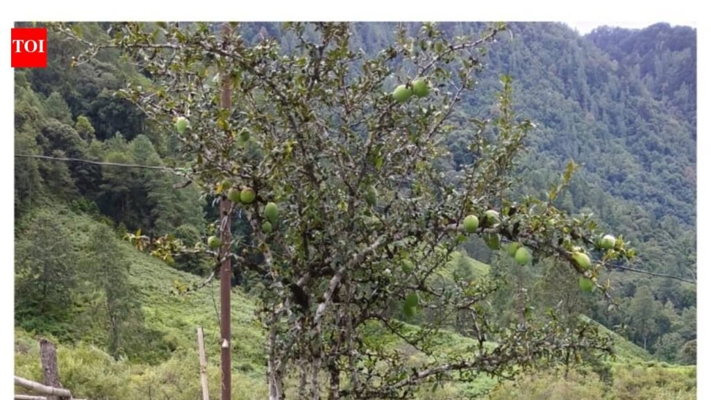 Expert team carries out containment drive as foot-and-mount disease outbreak hit Arunachal