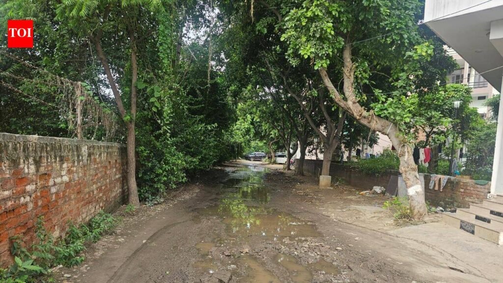 4 years after MCG takeover, internal roads still not repaired in Sushant Lok 3