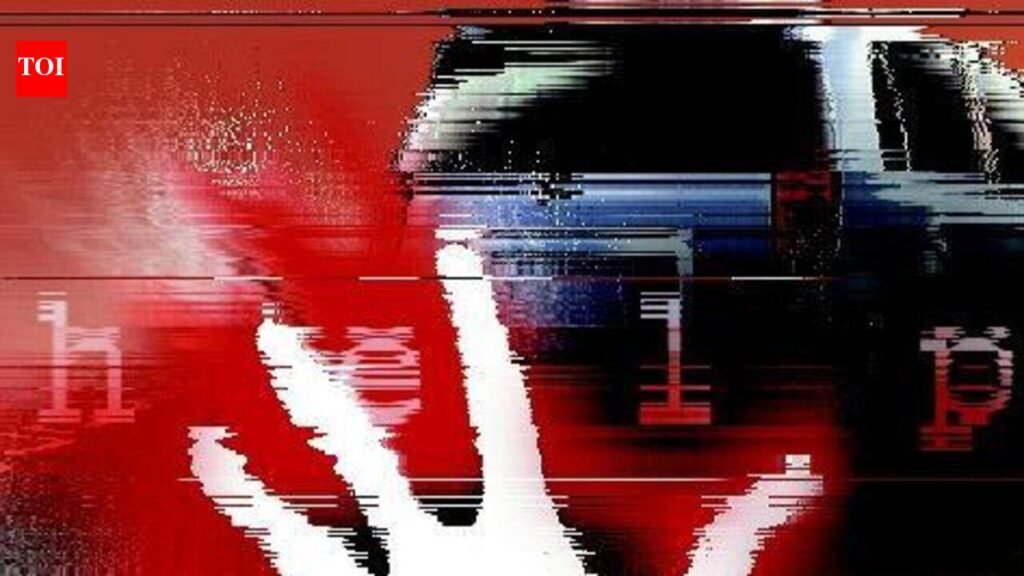 Haryana man dies in Mandi road accident