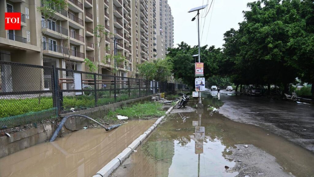 Dotted with condos, but Sector 150 pockmarked with broken roads, potholes, garbage heaps
