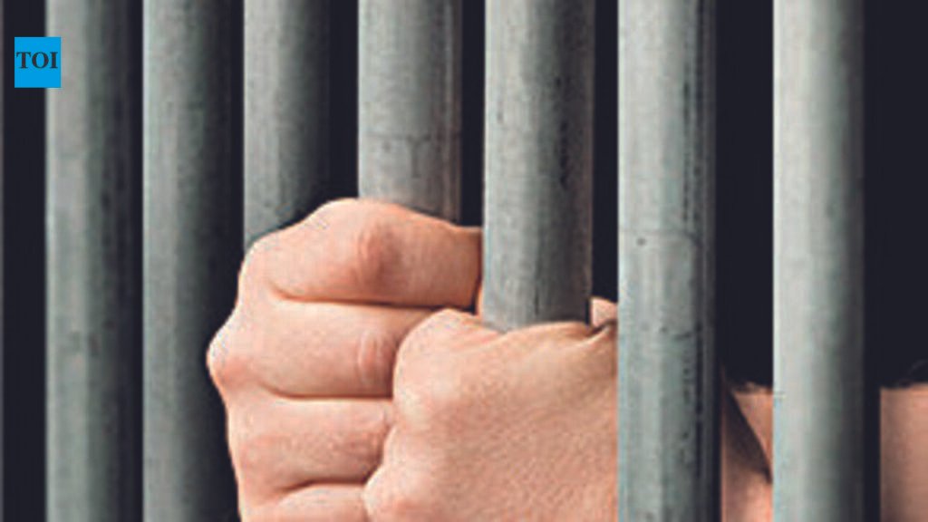 AI-based smart surveillance system launched at Central Jail