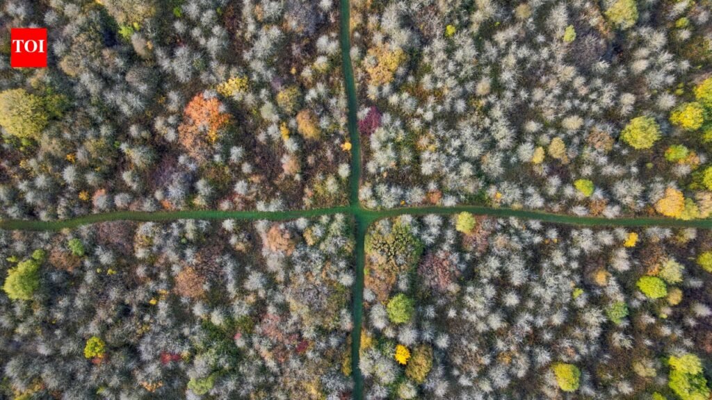 In 1988, an English farmer stopped cultivating his entire 377-acre wheat farm; 35 years later, it became one of central England’s biggest refuges for scrub, woodland and rare wildlife