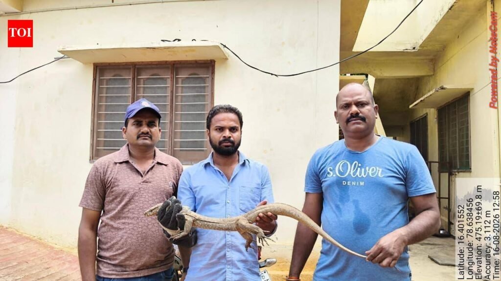 Monitor lizard rescued from house in Achampet