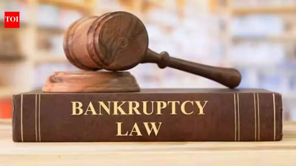 Insolvency, bankruptcy board aims to check misuse of law