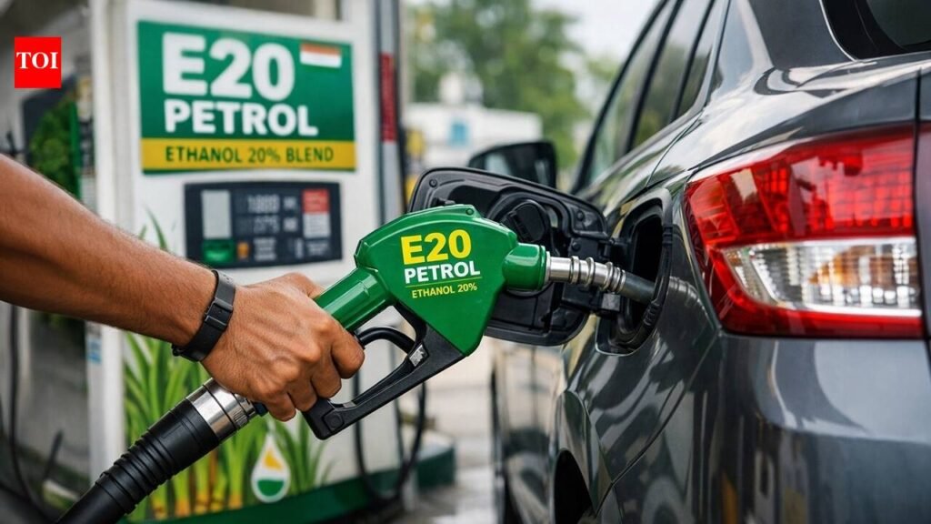 E20 petrol row: Bring back lower blend of ethanol fuel at pumps, says Chief Economic Adviser Nageswaran