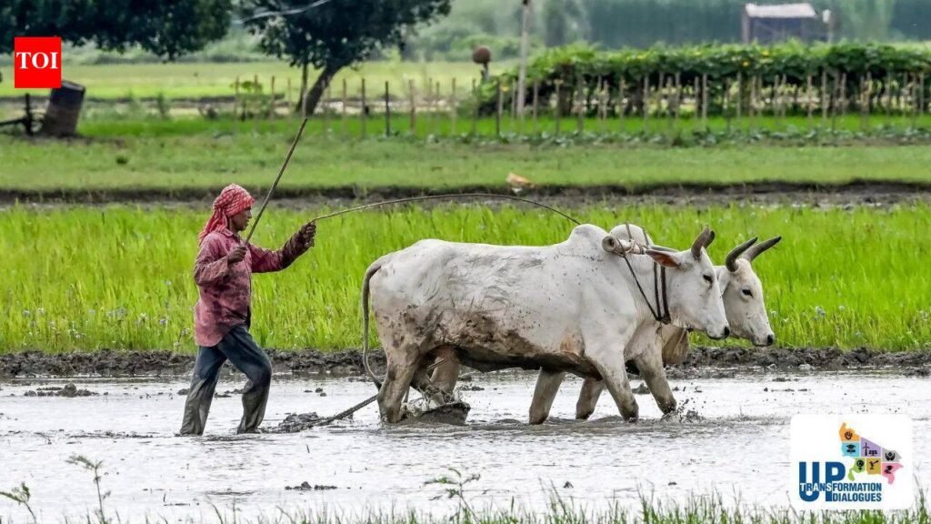 Jalaun’s transformation: From a Bundelkhand backwater to an emerging economic and industrial hub | Lucknow News