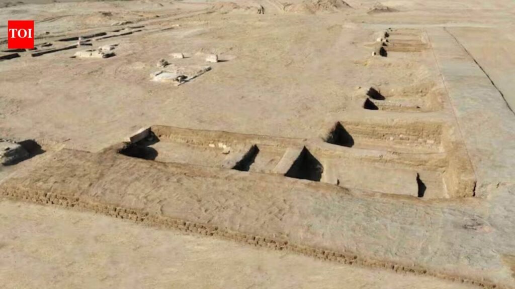 A 3,000-year-old inscription naming Masn may help archaeologists identify the lost Egyptian city | World News
