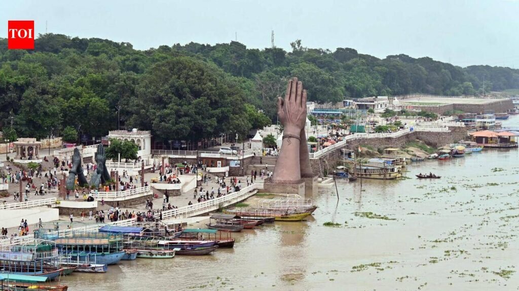 Floodplain rules eased, NGT to hear plea against changes | Noida News