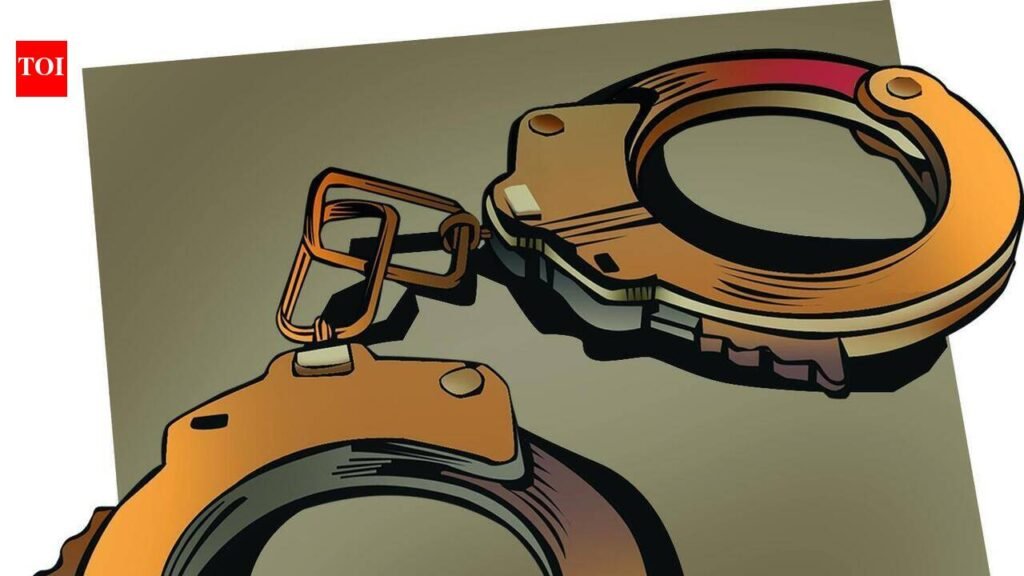 Four youths arrested over knife attack at Old Goa | Goa News