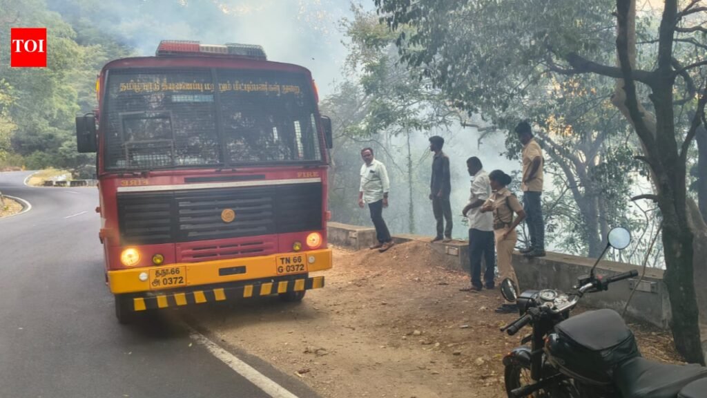 Fire breaks out near 25th hairpin bend on Bannari Ghat Road in Erode district, extinguished | Coimbatore News