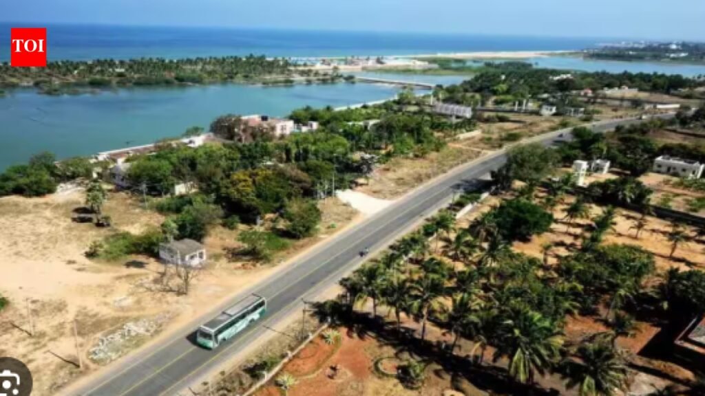 Tamil Nadu govt unveils Chennai to Puducherry sea-link corridor, boating plans | Chennai News