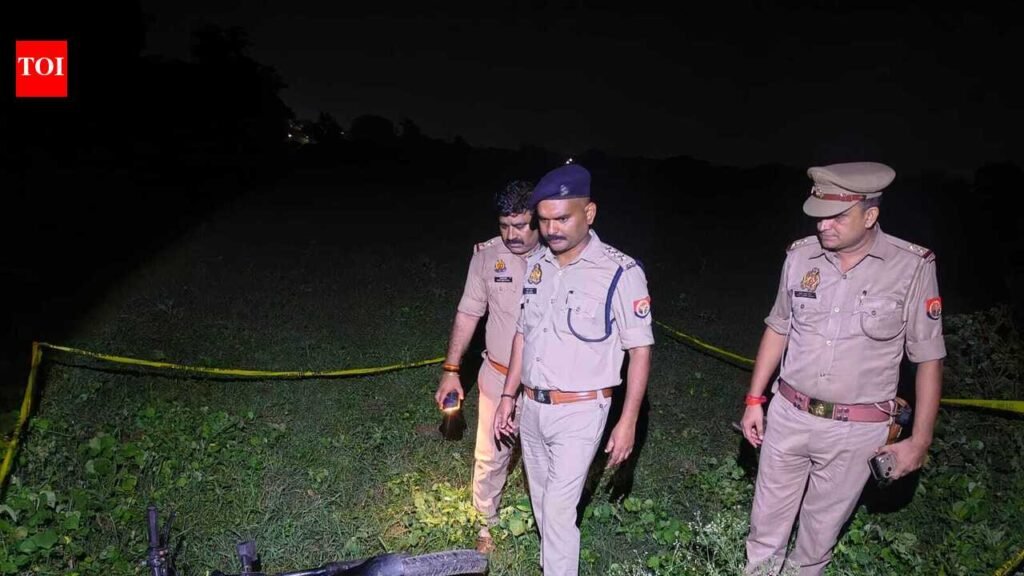 Man held for luring woman with job, looting jewellery | Varanasi News