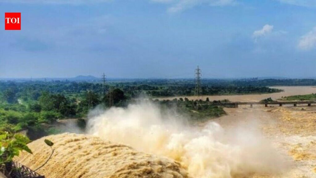 Patratu, Tenughat dams levels rise, flood alert sounded downstream | Ranchi News