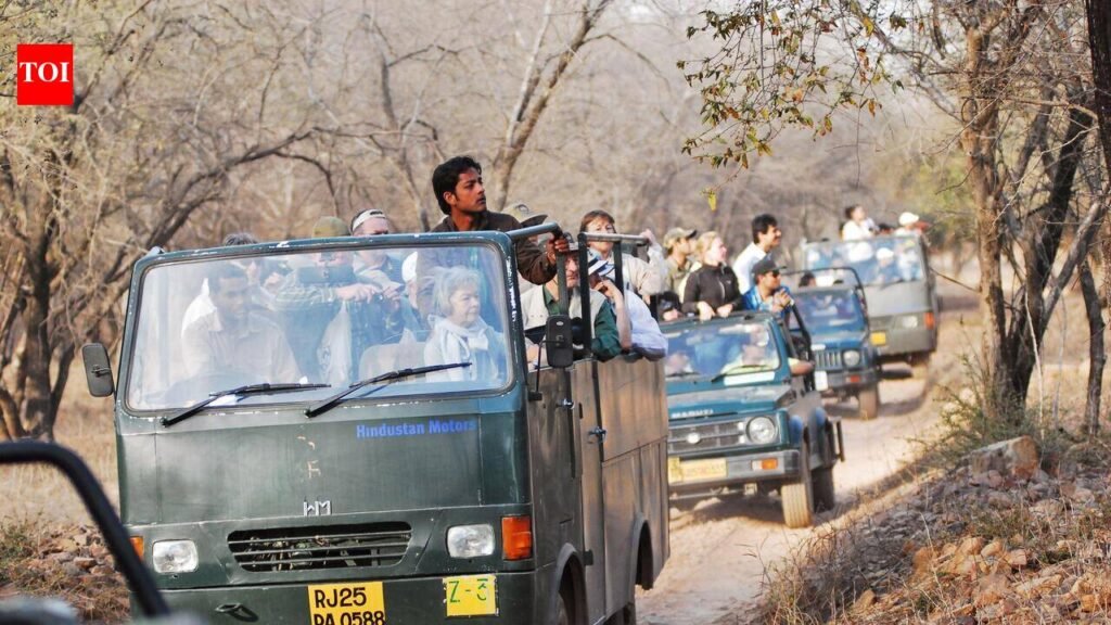 R’bore revamps safari fleet after canter accident, bars 11-year-old gypsies | Jaipur News