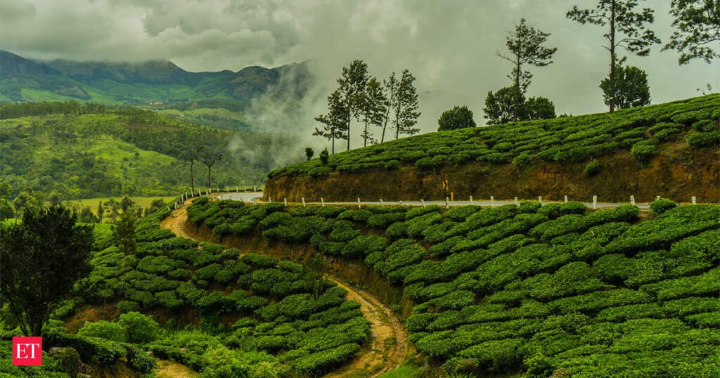 West Bengal Tourism Minister seeks probe into tea garden land sale, usage during TMC regime