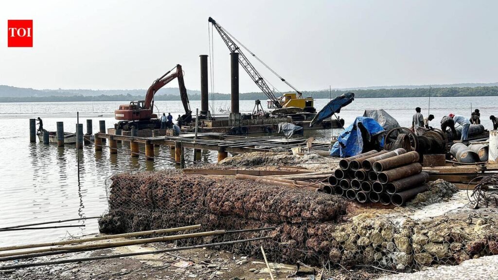 GCZMA directs four of nine jetties from Britona to Ecoxim to demolish illegal structures | Goa News