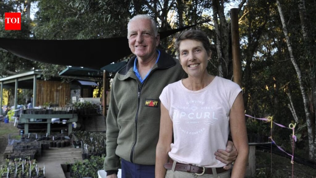 Australian couple bought a cattle farm and planted 34,000 trees to restore rainforest for koalas and other wildlife | World News