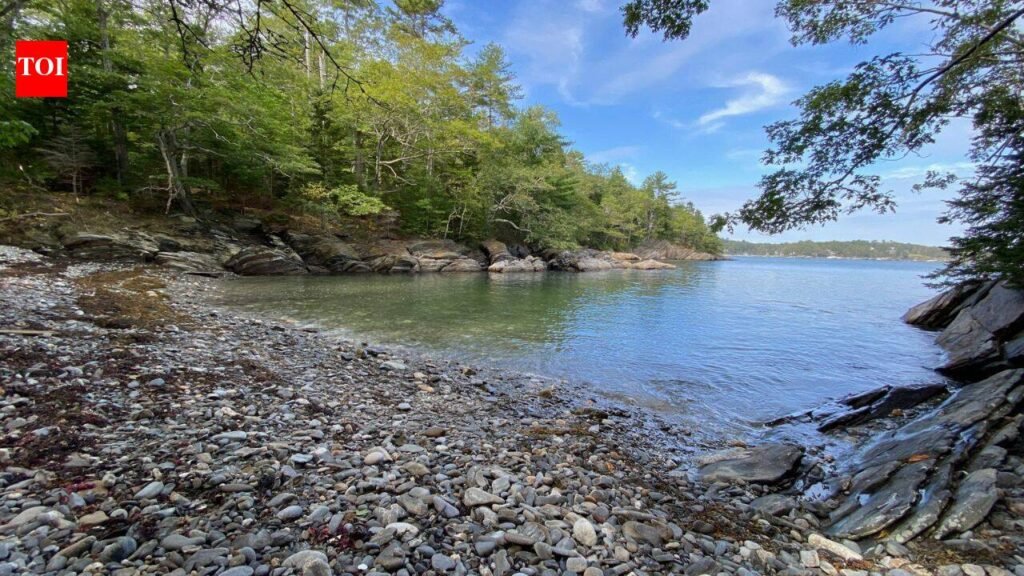 In 1964, a 27-year-old woman bought an abandoned 18 acre island off Maine and built a small house to live there alone; 22 years later the island was donated to become a wildlife sanctuary