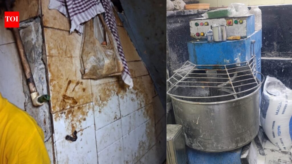Live rodents, poor hygiene: Maharashtra FDA seizes food products worth Rs 25 lakh, 5 licences suspended | Mumbai News