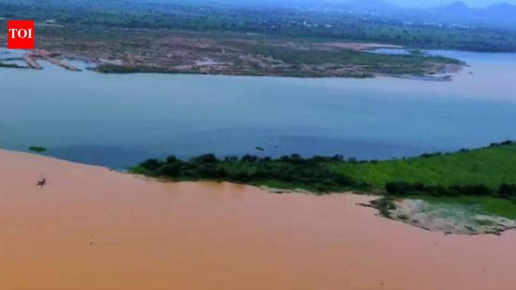 Vijay to raise inter-link of Godavari-Cauvery in Amit Shah’s meeting | Chennai News