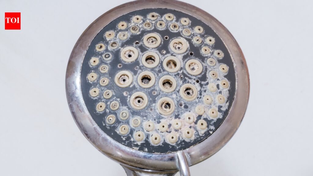 Clean Blocked Showerheads: Forget vinegar and baking soda! A simple and practical trick to clean blocked showerheads in the bathroom