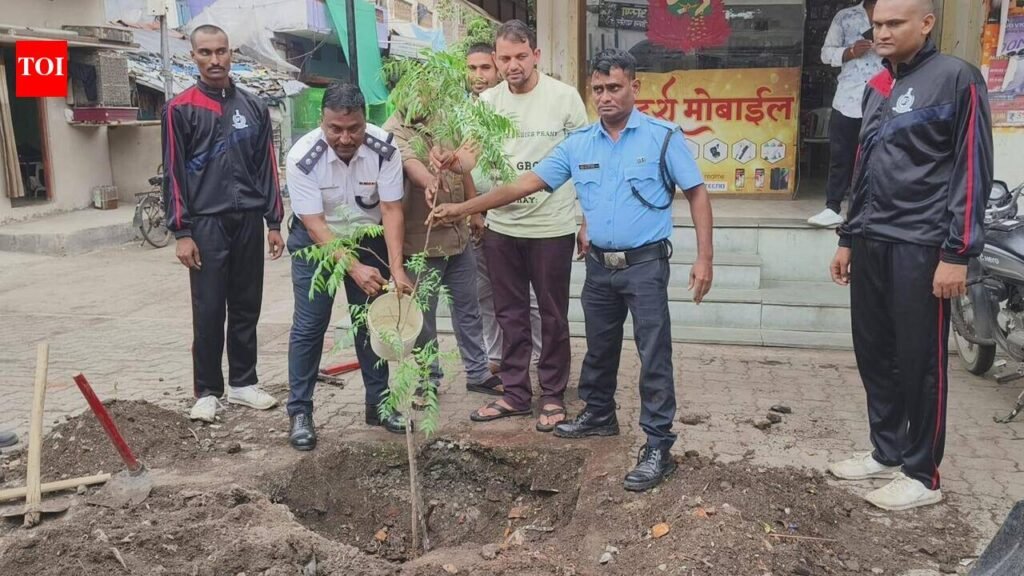 TREE FALLS, NMC PLANTS SAPLING AT SAME SPOT | Nagpur News