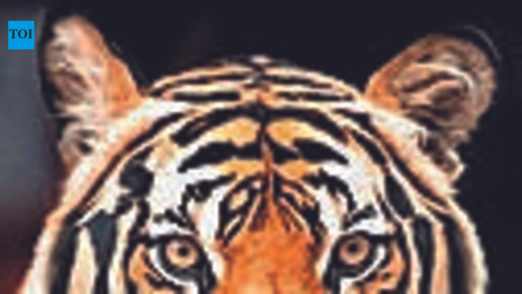 Scratch by ‘selfie’ tiger during Thailand visit gives 5-year-old girl sepsis | Noida News