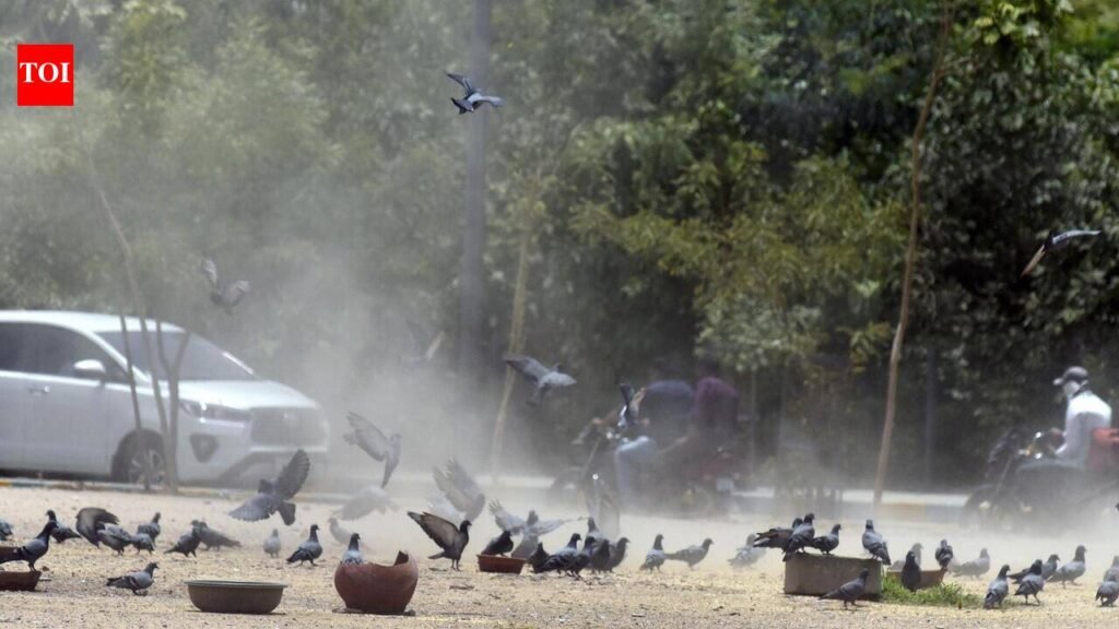 Ahmedabad’s clean-air gains hit speed bump as PM10 levels rise again | Ahmedabad News