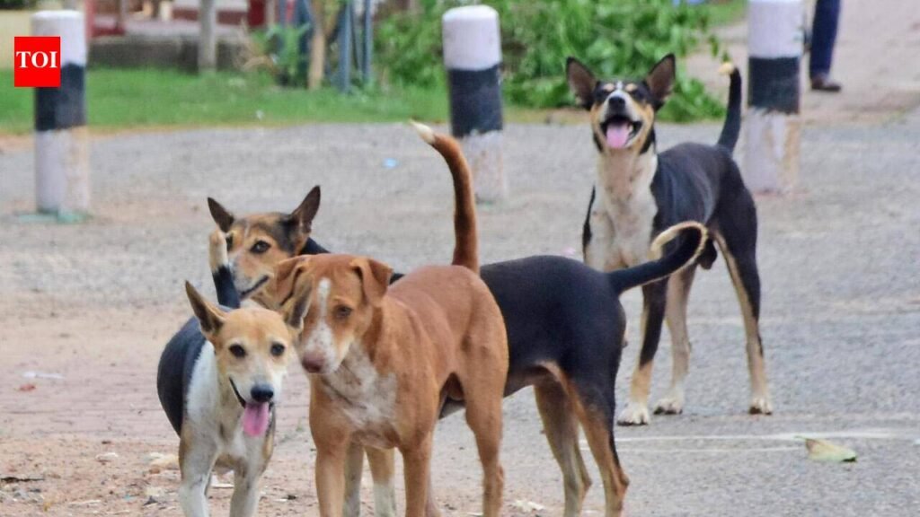 1.54 lakh dog-bite cases reported in 2025; agencies to be paid for lifetime care of dogs | Mumbai News