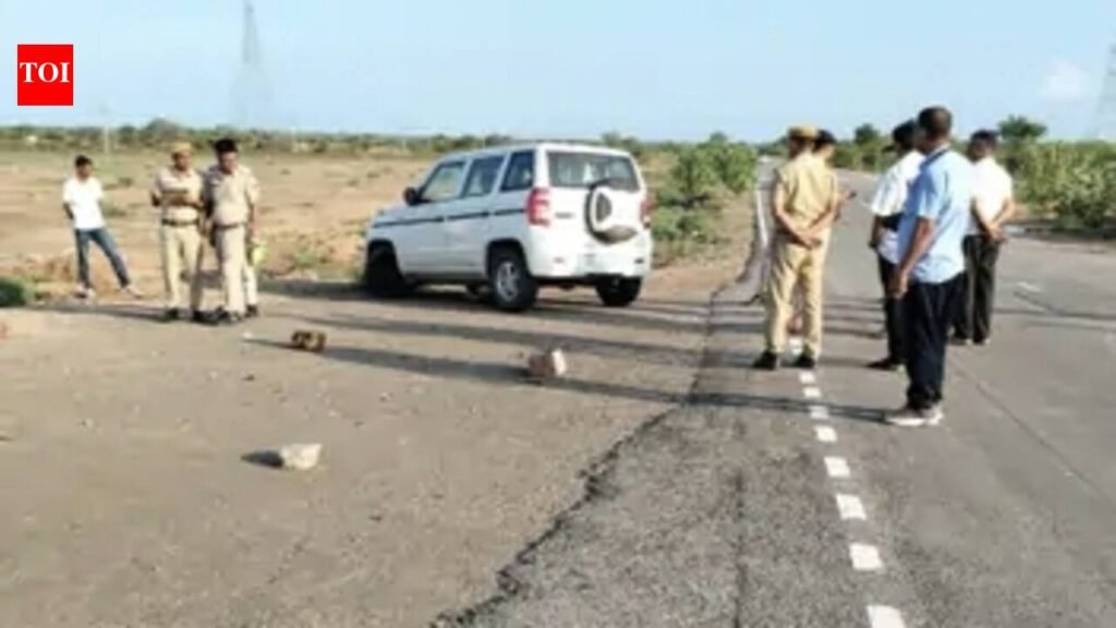 Three brothers held for man’s murder over cow grazing dispute | Jaipur News
