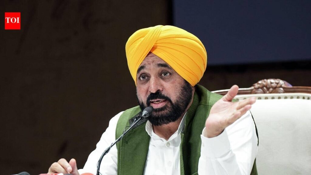 ‘Don’t teach us patriotism’: CM Mann after NHRC seeks report on I-Day ‘school lapses’ | Chandigarh News