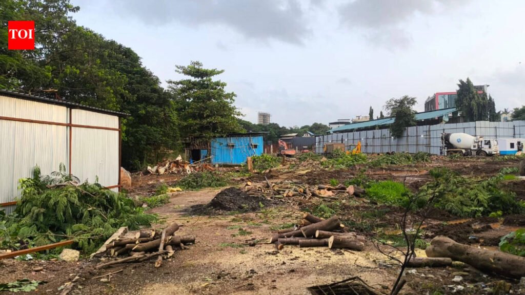 102 trees face axe as Dombivli sports complex gets world-class makeover | Mumbai News