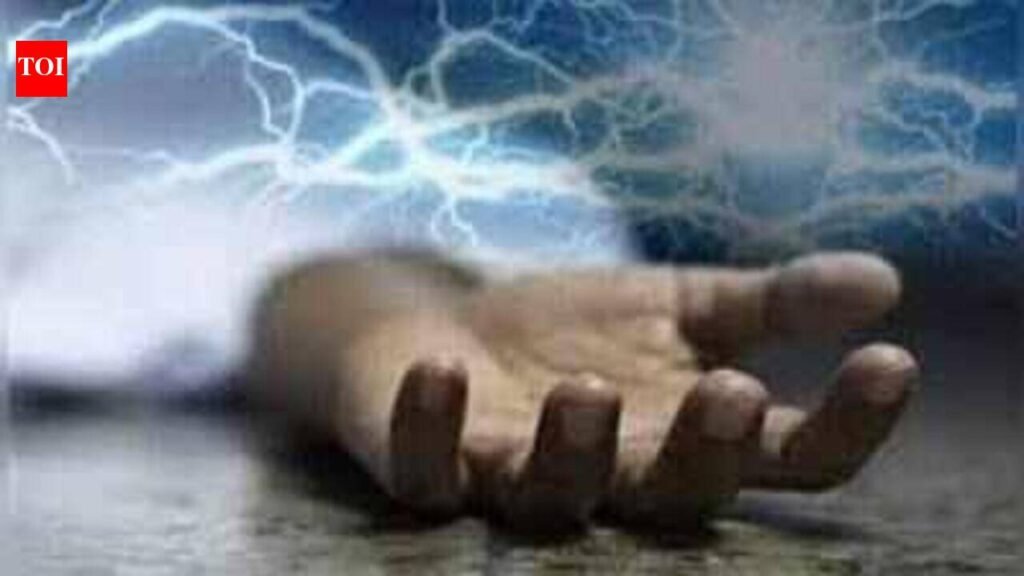 Two cousins electrocuted in Daund | Pune News