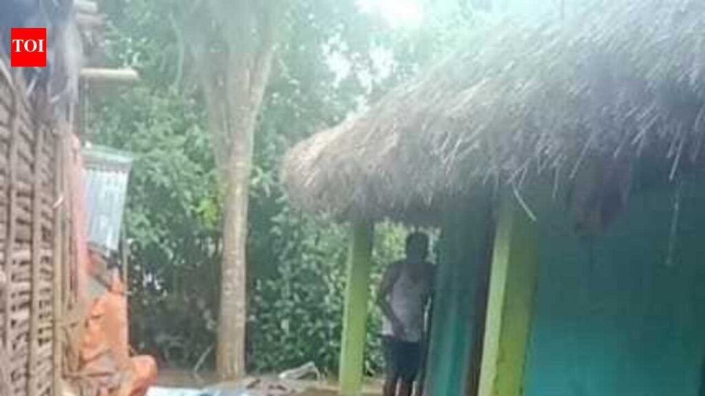 Kendrapada man finds 20-ft croc on verandah, villagers drive it away | Bhubaneswar News