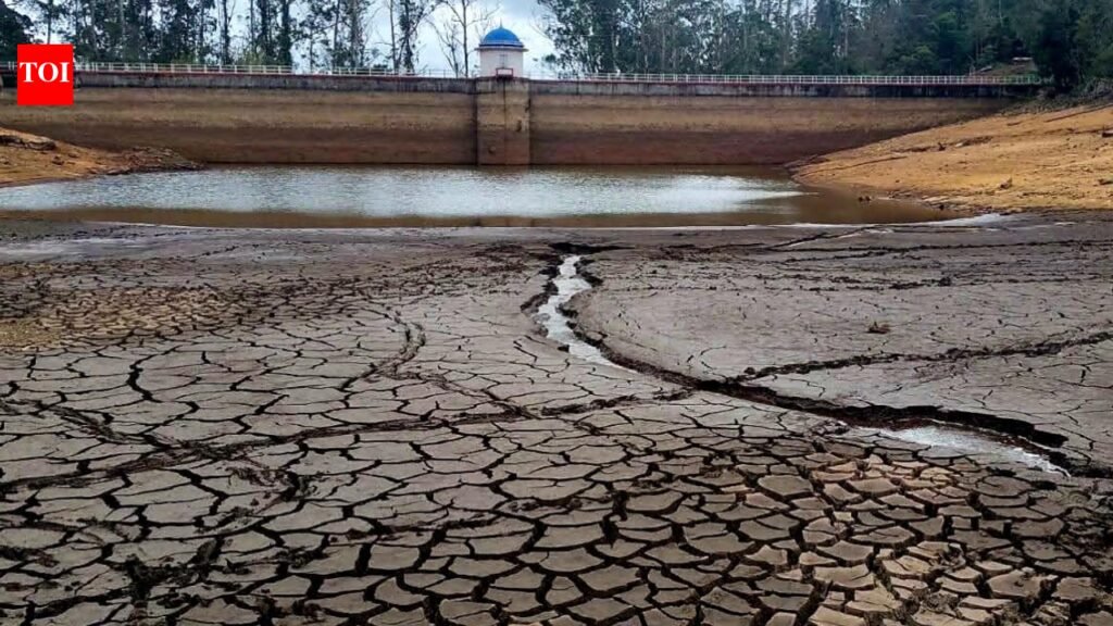 Coonoor faces acute water shortage as Ralliah dam dries up | Coimbatore News