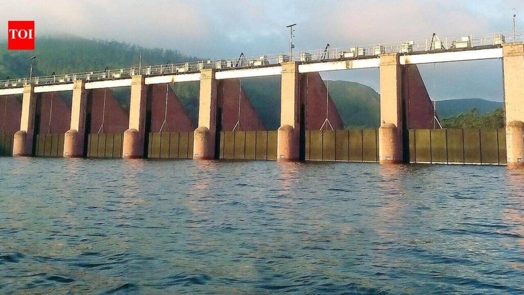 Kerala, Karnataka bat for new dams during South Zonal meet | Chennai News