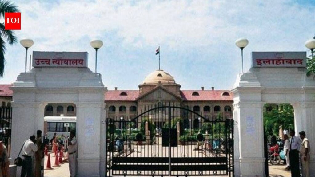 No SC/ST Act offence if slur not aimed at humiliation: Alld HC | Prayagraj News