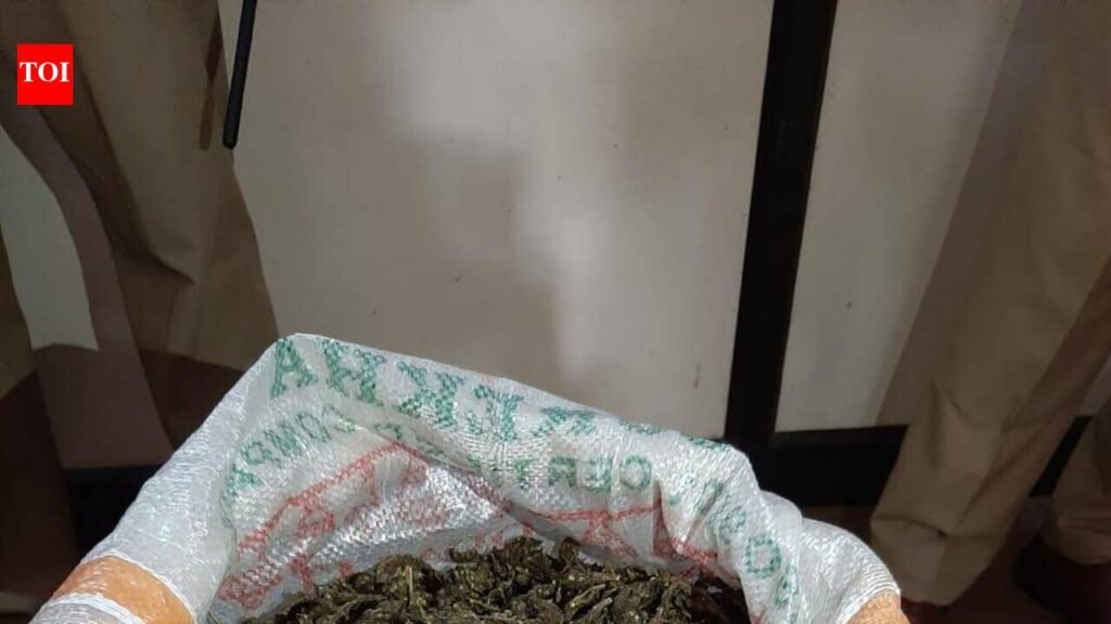 2 held with 3kg ganja in Kondhwa; police take action against 43 buyers | Pune News