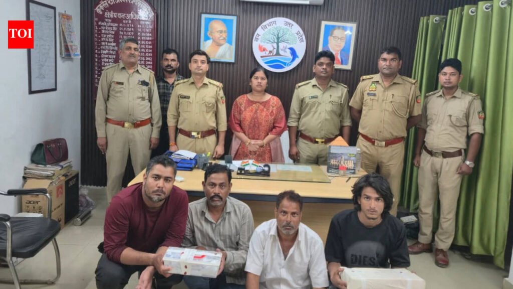 54 ivory artefacts worth crores seized in Lucknow; 4 arrested in joint DRI-Forest operation | Lucknow News