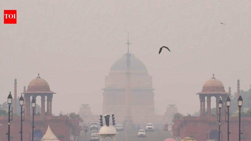 Delhi Government Construction Ban: Delhi government orders construction ban for 42 days to tackle winter air pollution | India News