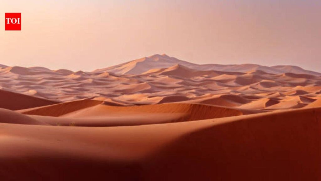 UAE is turning desert sand into eco-friendly bricks, and the method cuts cement needed for construction to nearly half