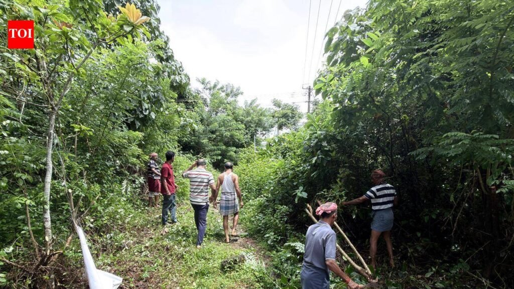 Residents clean suspension bridge after years of neglect | Mangaluru News